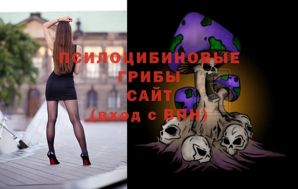 дживик Дмитриев
