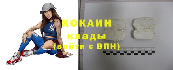 дживик Дмитриев