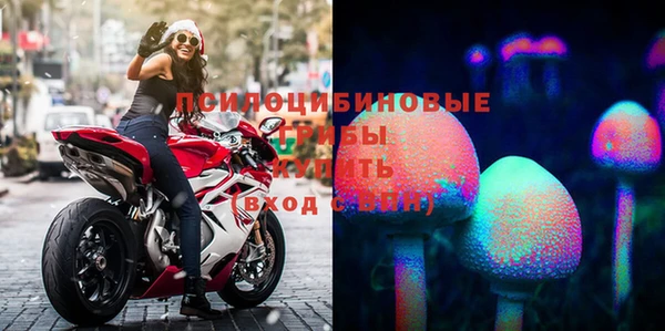 PSILOCYBIN Дмитров